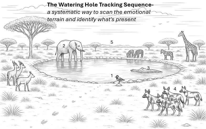 Black-and-white line illustration titled “The Watering Hole Tracking Sequence,” showing African wildlife around a watering hole—elephant, zebra, giraffe, antelope, wild dogs, crocodile, and bird—symbolizing a structured emotional tracking process.